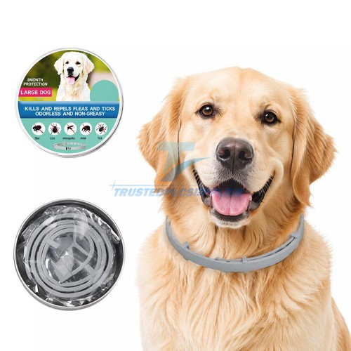 Dog collar flea and - dog, 8