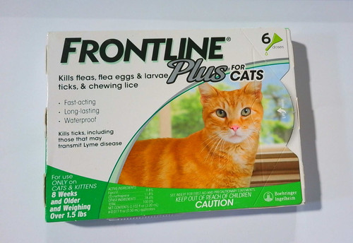 Frontline plus for cats over - plus,