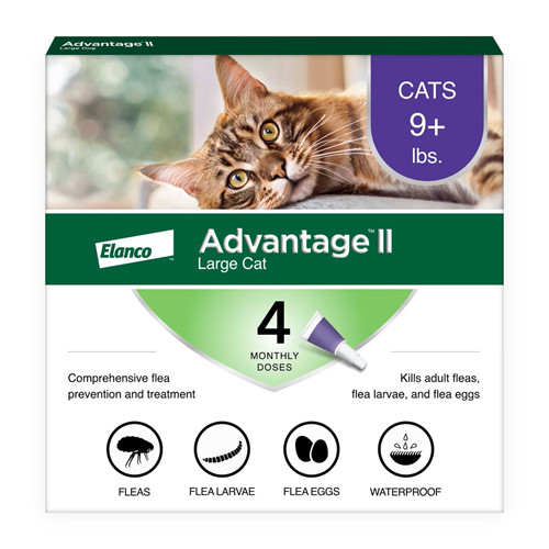 Advantage for large cats - for,