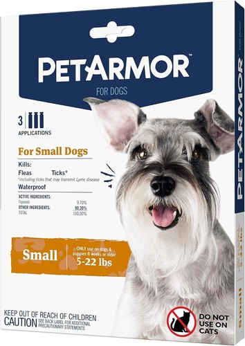Dog flea and tick - flea, treatment